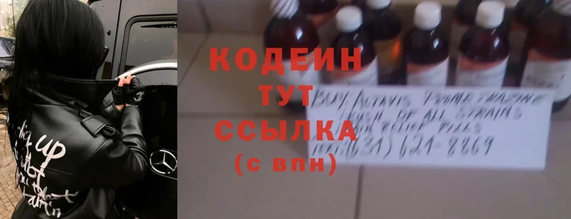 Кодеин Purple Drank  ссылка на мегу зеркало  Гатчина 